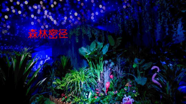 ~是什么意思